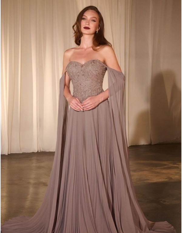 Longue robe d'invité avec corsage brodé et jupe plissée