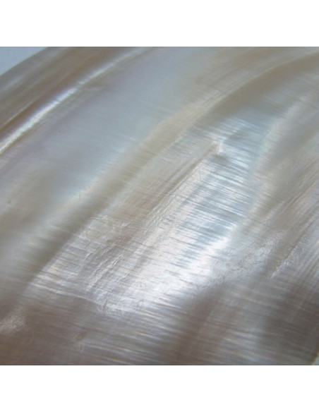 Aros dorados con colgantes de perla