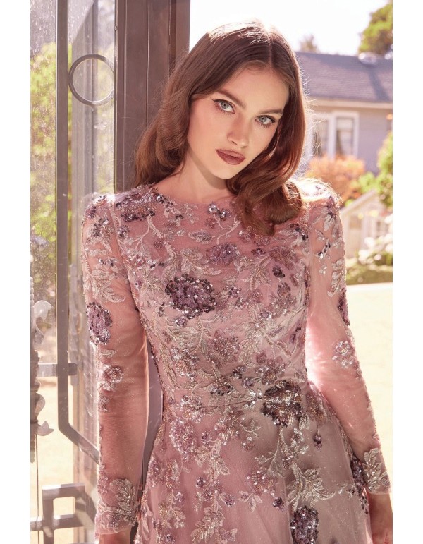 Robe de soirée semi-transparente à manches longues avec...