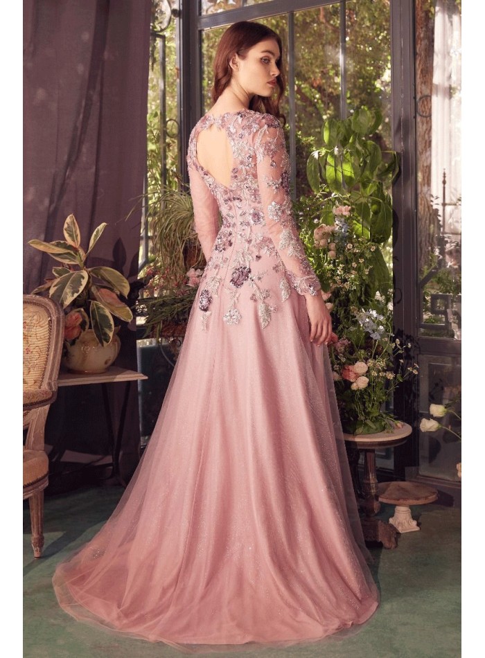 Semitransparent long sleeve evening dress with...