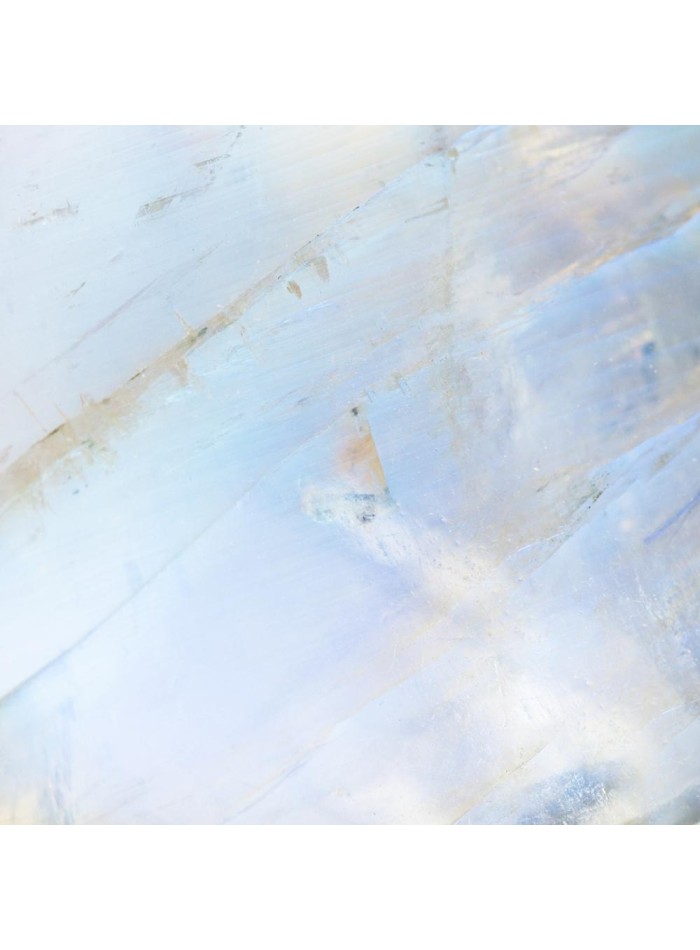 Boucles d'oreilles plaquées or en forme de feuille