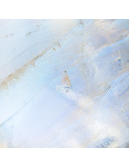 Boucles d'oreilles plaquées or en forme de feuille