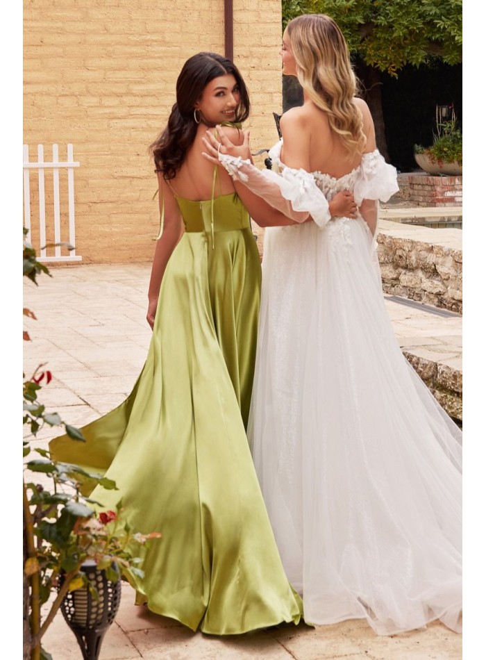 Robe de fête désinfectée avec jupe flottante et...