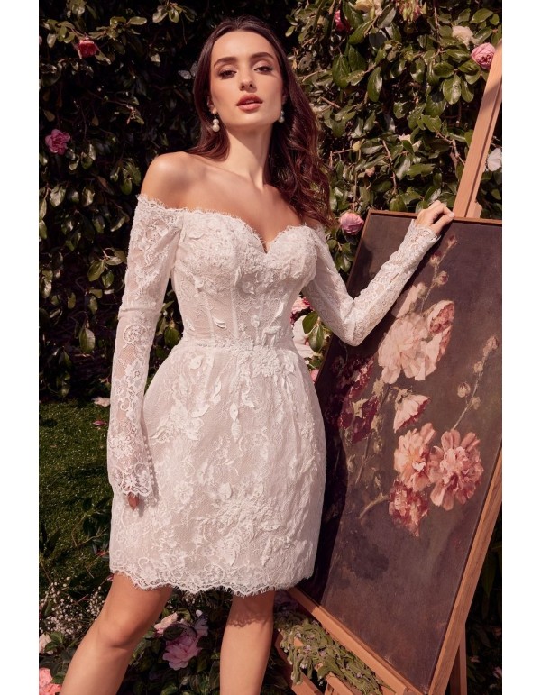 Short wedding dress with lace and long sleeves and bare... 2