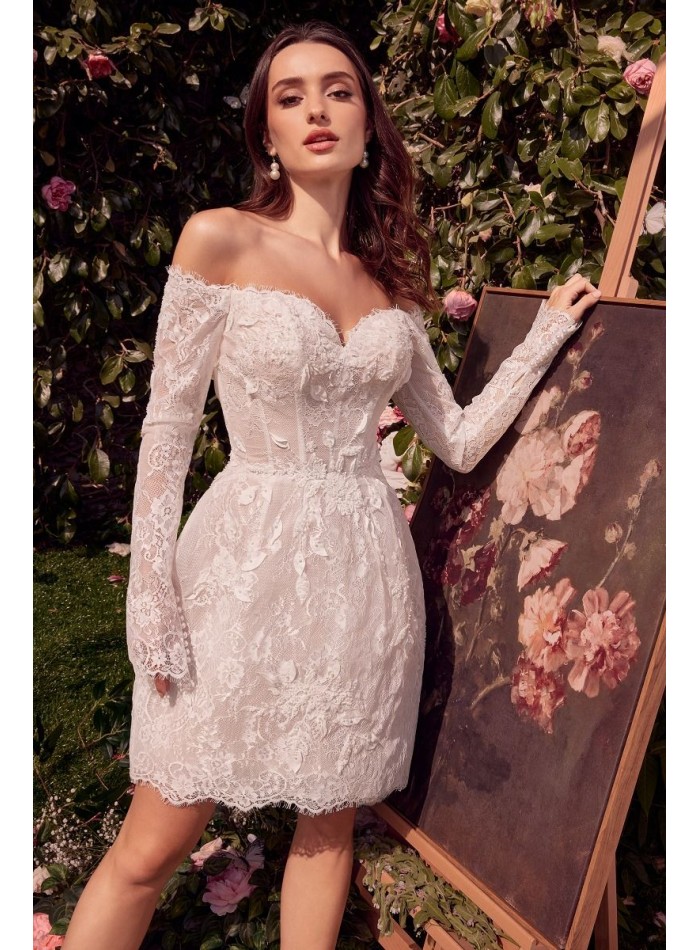 Short wedding dress with lace and long sleeves...