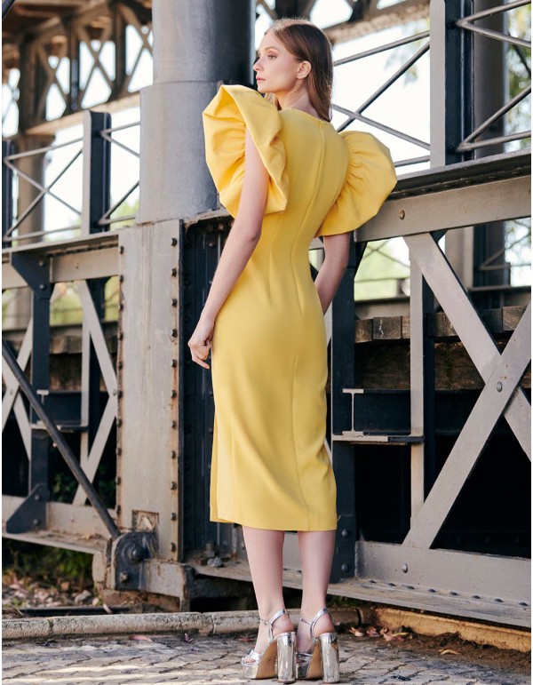 Robe d'invité midi avec manches papillon 2