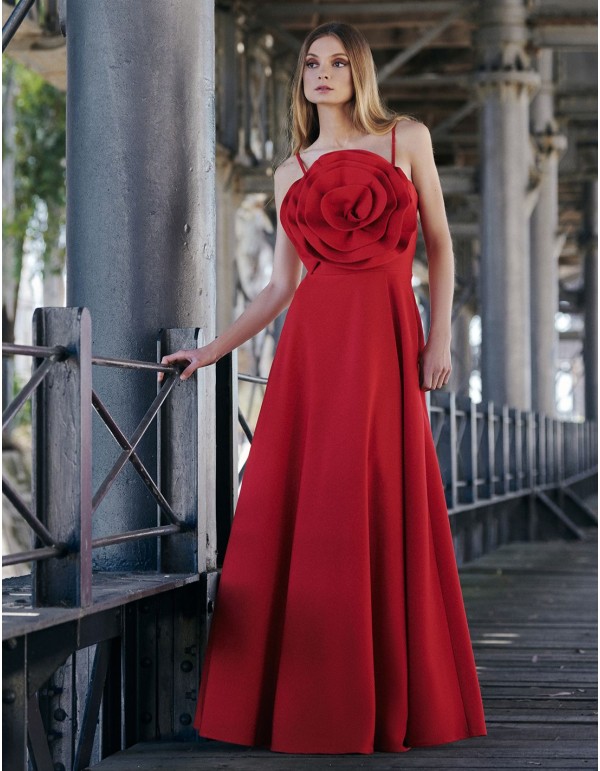 Robe d'invité longue avec corsage à fleurs maxi