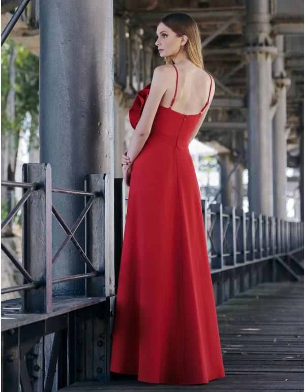 Robe d'invité longue avec corsage à fleurs maxi 2