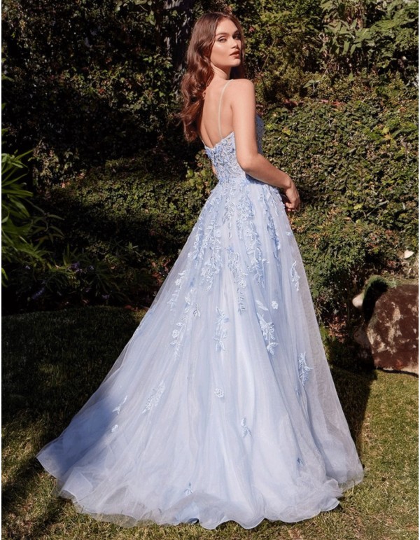 Long gown with embroidered bodice and sky blue tulle skirt