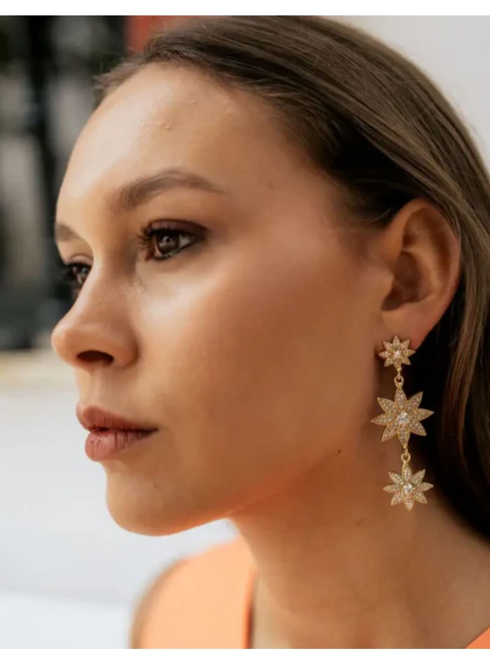 Long earrings with stars and zirconia