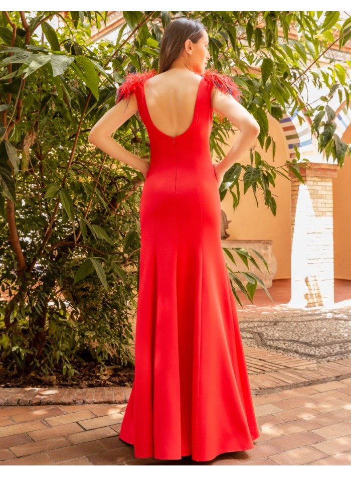 Robe longue avec plumes et dos ouvert
