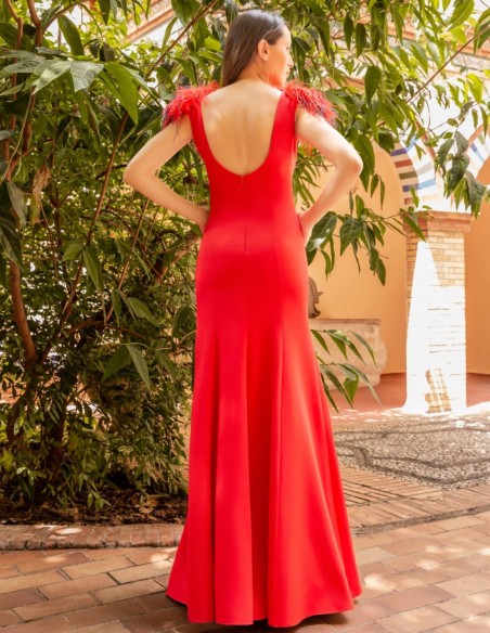 Robe longue avec plumes et dos ouvert