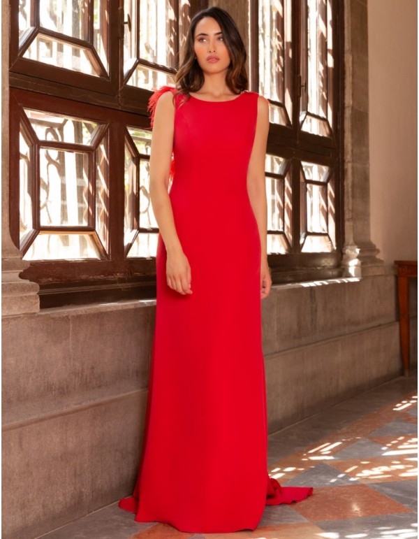 Long dress with feather and rhinestone detail on the back 2