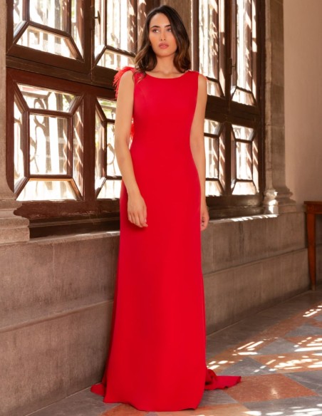 Long dress with feather and rhinestone detail on the back