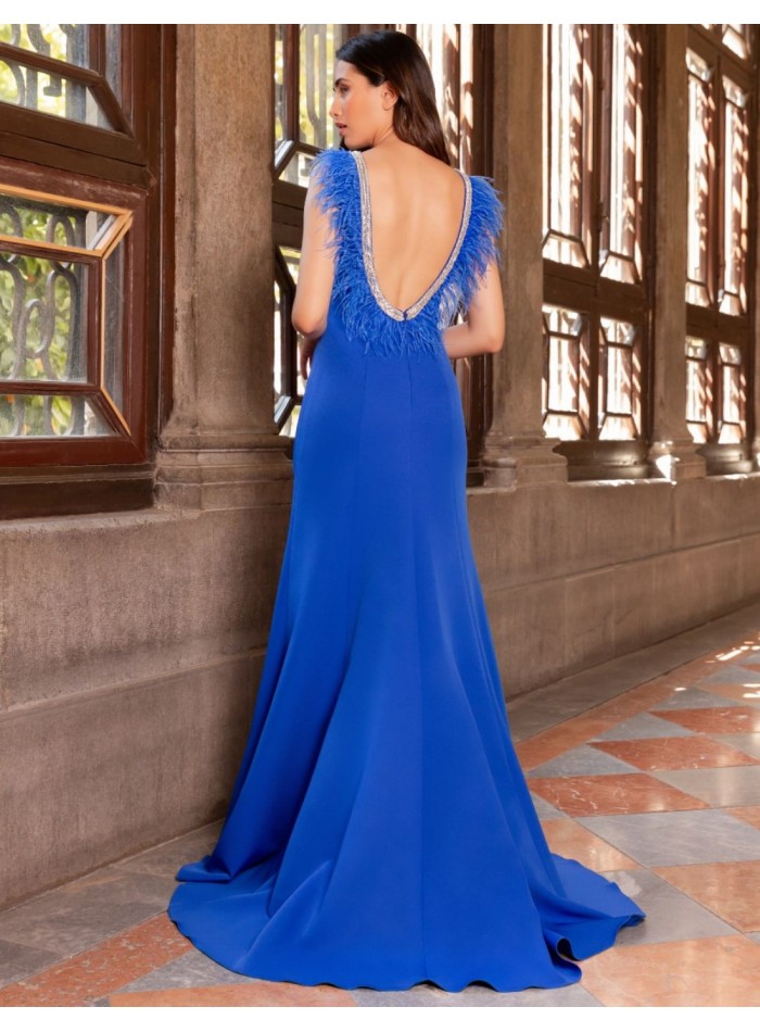 Long dress with feather and rhinestone detail...