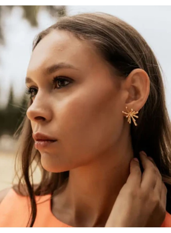 Small earrings with abstract silhouette