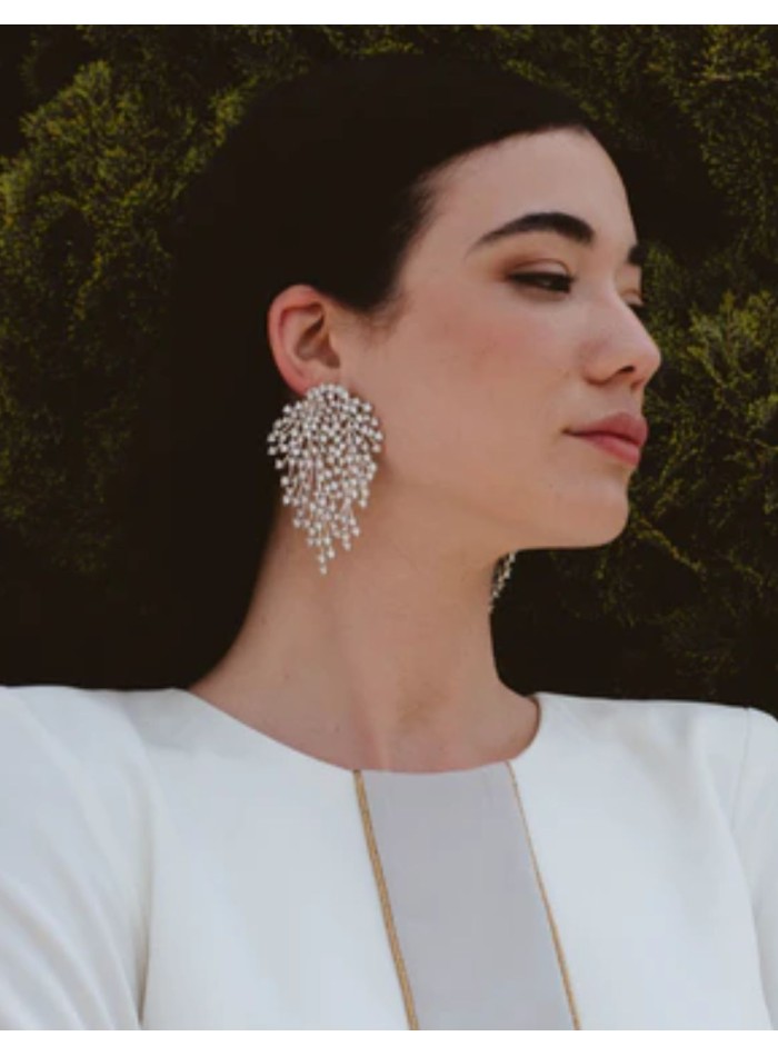 Earrings in silver with branched structure with...