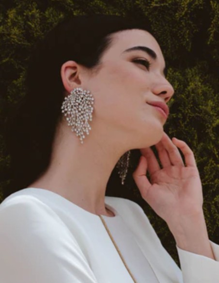 Earrings in silver with branched structure with zircons