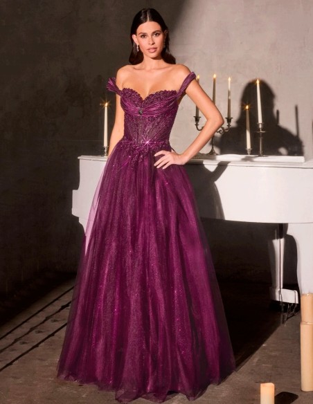 Robe de princesse avec encolure bardot, corsage brodé et jupe en tulle scintillant