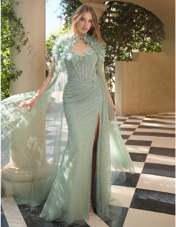 Cape d'invité haute couture avec tulle et applications...