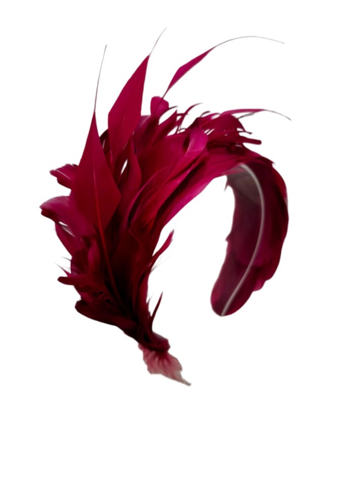 Bandeau de plumes pour l'invité en couleur marron