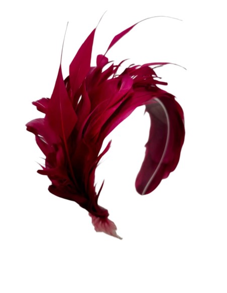 Bandeau de plumes pour l'invité en couleur marron