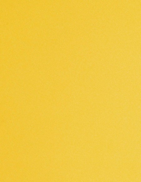 Jupe de fête longue à taille haute avec détails de franges