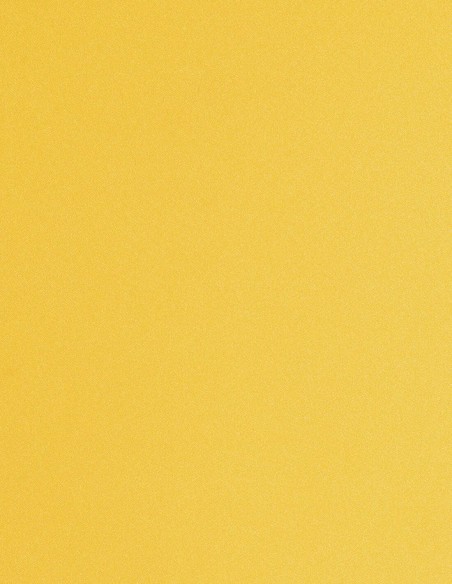 Robe de soirée midi bicolore avec encolure licou