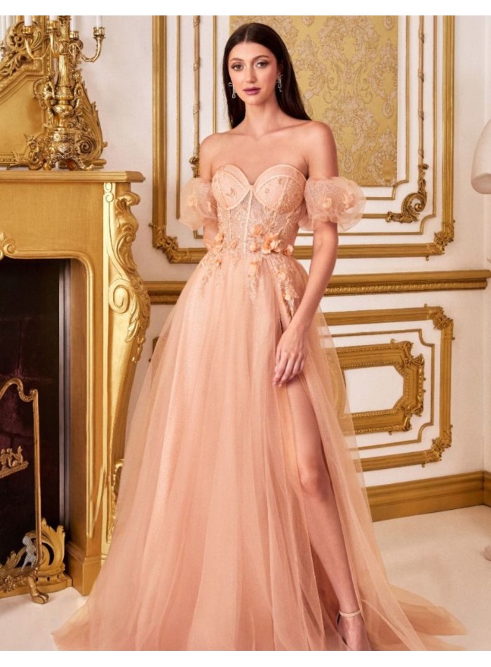 Robe longue de fête en tulle avec corset et...
