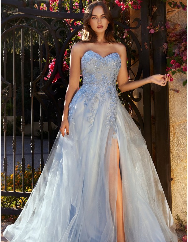 Long party dress with bodice and lace embroidery