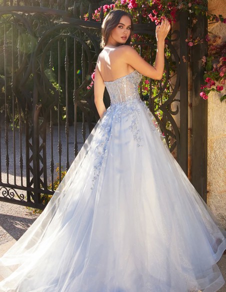 Long party dress with bodice and lace embroidery