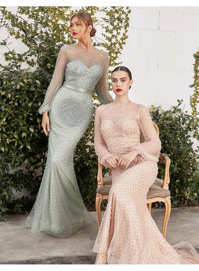Long sleeve sheer gown covered with pearl beads