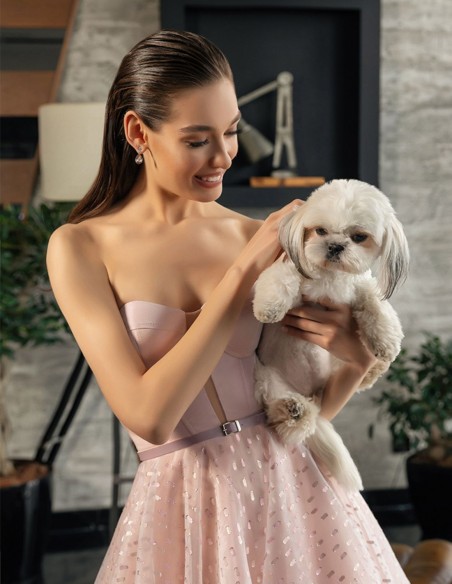 Dusty pink midi party dress with plumeti