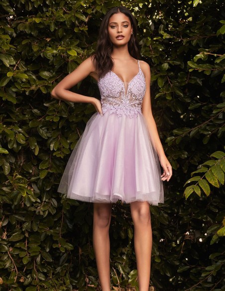 Short party dress with tulle skirt and embroidered bodice lilac