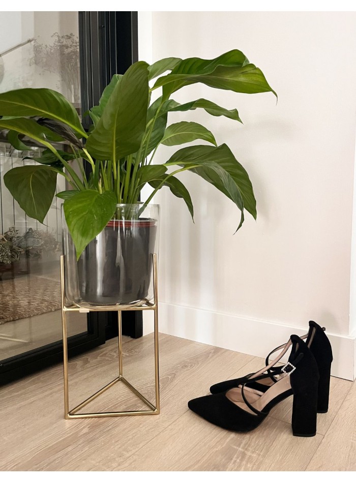 Black suede pumps with crossed straps