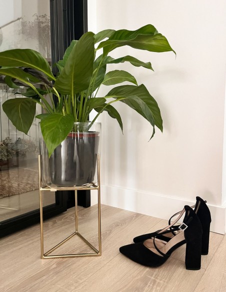 Black suede pumps with crossed straps